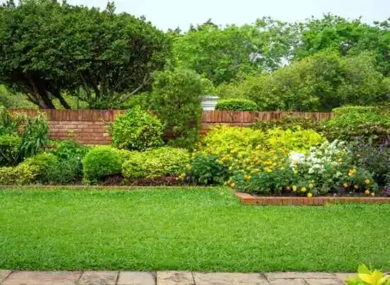 landscaping services Bloomville